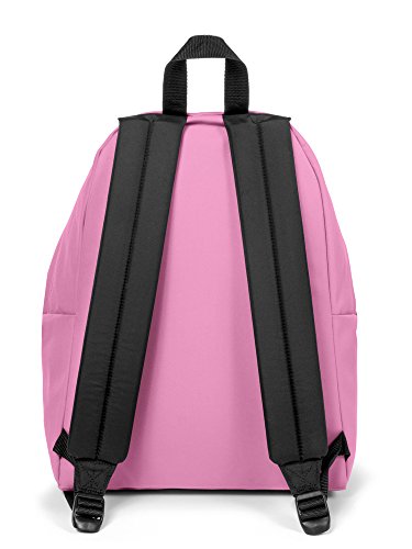 eastpak-padded-pak-r-mochila-24-l-rosa-coupled-pink-acolchada-icono-original image 7